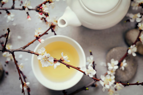 ミチコとオスカルの「お部屋に春を取り入れる桜茶FIKA」